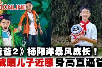 《爸爸2》楊陽洋暴風成長!楊威曬兒子近照 身高直逼爸爸