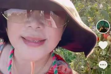 陳赫與家人外出採摘蔬菜,鐵鏟蔬菜擺滿一箱,與妻子罕同框太甜蜜