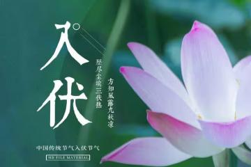 明日入伏，再忙也別忘吃「1紅2白3綠」，調整飲食，三伏天少遭罪