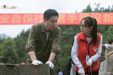 總局收視榜：《幸福到萬家》第五，《唐醫生》擠上第二，第一太狠