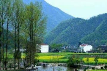 兒子當上門女婿五年未歸,母親找到兒媳,才知兒子四年前出了車禍