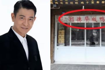 劉德華狀告劉德華烏龍事件：憑什麼讓我取消註冊？