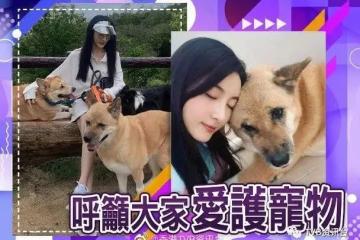林夏薇有望拿下今年視後？陳瀅張曦雯性感婚紗look斗靚