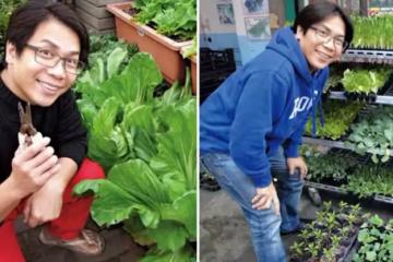 56歲許傑輝珍惜老婆不生小孩「把樓頂變菜園」當城市農夫「自己種菜自己吃」自歎「不僅僅是為吃菜」：是一種慰藉也是一種修行