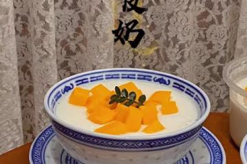 雙皮奶（適用家用，私房開店）