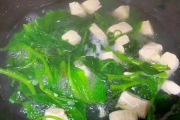 零基礎小白都能輕鬆快手做的超清淡青菜豆腐湯