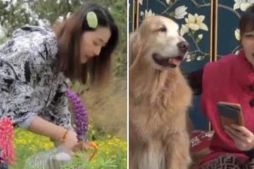 54歲周海媚如今獨居北京，斷絕「七情六慾」？擁有超大菜園自己打理，坦言不用找個男人「妨礙自己」生活