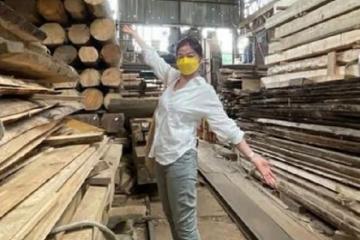 62歲鍾楚紅現身木材廠,打扮樸素似路邊大媽,頭髮泛白美人遲暮