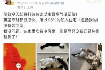 61歲費翔發文揭倫敦日常 IP位置在上海意外惹爭議