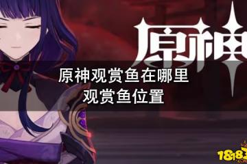 原神觀賞魚在哪裡 觀賞魚位置