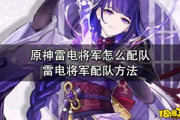 原神雷電將軍怎麼配隊 雷電將軍配隊方法