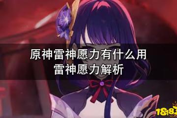 原神雷神願力有什麼用 雷神願力解析