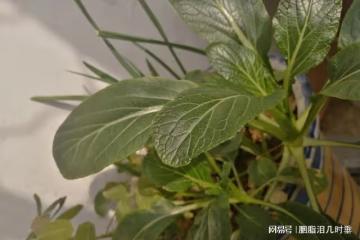 願我們餘生都可貴，不會再錯過專屬自己的人生美好