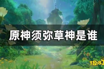 原神須彌草神介紹 草神是誰