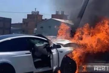 林志穎車禍毀容需重建，哥哥隨時準備獻血，特斯拉風評直線下滑
