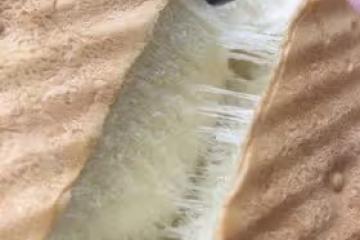 10L小烤箱烤一切--（已優化）125/250g一發軟到沒朋友的手撕拉絲水立方吐司
