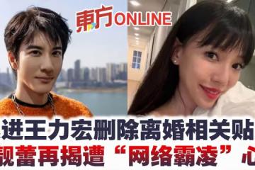 跟進王力宏刪除離婚相關貼文　李靚蕾再揭遭「網絡霸凌」心聲