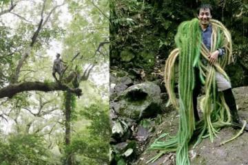 全台灣最危險的工作!他終生不婚、穿越荒野森林 拚命工作20年「被一群博士封神」!
