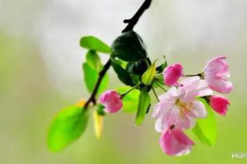 婚外情:同苦容易共甘難,婚姻保衛戰,嚴防被摘了婚姻幸福的果實