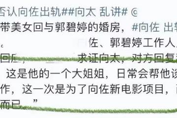 向太陳嵐：從「霸氣大姐」成「嘮叨婆婆」，她怎麼這麼愛管閒事？