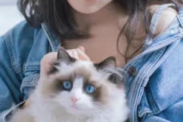 奶奶說：那個不要彩禮的女人，被男人掃地出門離婚了