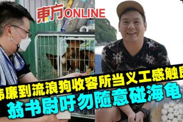 辛偉廉到流浪狗收容當義工感觸良多　翁書尉吁勿隨意碰海龜