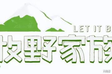 4年後，媲美《青春環遊記》的綜藝終於出現了，4位嘉賓各顯神通