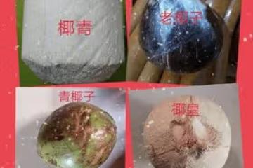 ⚠️各種開椰子❎取椰肉的方法（詳細）