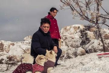 劉燁百花獎成陪跑，曾獲3個影帝，網友：無冕冠軍