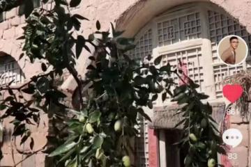 40歲張鐸回陝西農村老家生活，住窯洞曬得黢黑，啃樹上果子接地氣