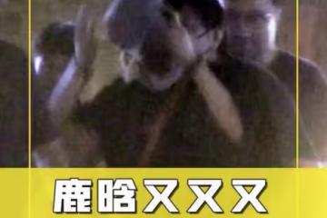 鹿晗深夜醉酒糗態百出,東搖西晃倒人懷中難自理,多次因喝酒丟人