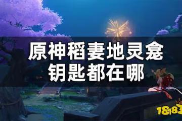 原神稻妻地靈龕鑰匙獲取攻略 稻妻地靈龕鑰匙都在哪