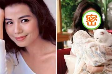 62歲女神鐘楚紅復出拍廣告!笑容甜美酒窩搶鏡,被指撞臉陳妍希