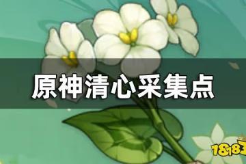 原神清心採集點 清心要去哪採集比較快