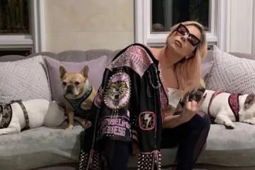 持槍搶劫Lady Gaga愛犬 男子認罪被判刑