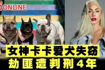 女神卡卡愛犬失竊 劫匪遭判刑4年