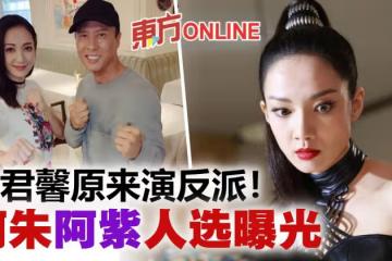 王君馨飾演反派! 甄子丹《喬峰傳》女主角另有其人