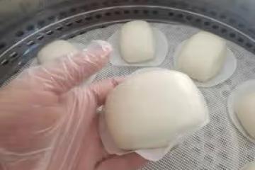 純手工白饅頭(成功率100%)