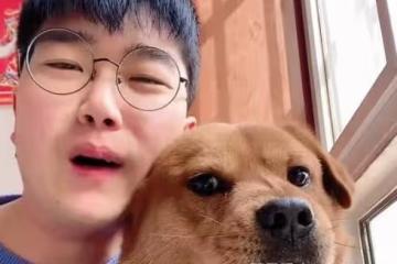 小胖科學家就虐狗事報警，父親稱其有精神分裂，國外網友跟著裹亂