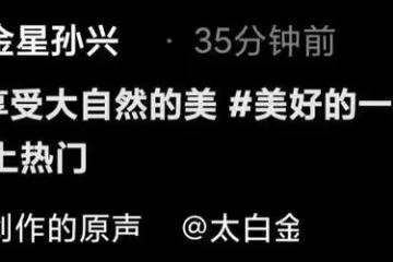 58歲孫興田間干農活，掰玉米手上青筋凸起，全身曬黢黑兩鬢斑白