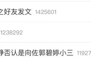 小胡靜曬美照回應當三，否認插足向佐婚姻，稱兩人結婚前就已認識