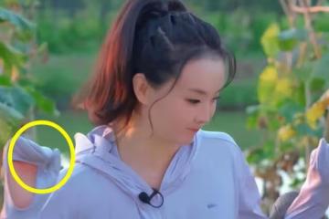 王艷拍農村摘菜被嘲不接地氣？老公百億身家，在北京故宮旁有別墅