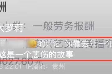 百萬粉網紅年收入僅兩萬七,稱沒有其他工資,為省錢只吃半個紅薯