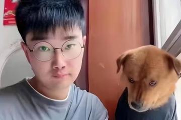 百萬網紅虐狗疑似反轉,狗主人自證清白,網友卻發現背後或有團隊