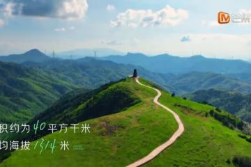 《中餐廳6》42歲殷桃好美！做客難度降低，轉眼就有了兩個大廚