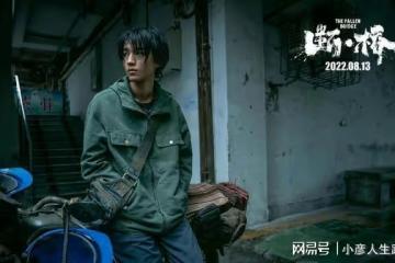 導演李玉回應為何看不懂《斷橋》，被質疑陰陽怪氣，隨後刪除評論
