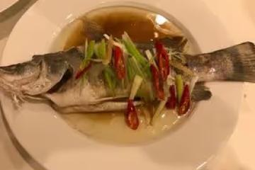 清蒸盲曹魚Barramundi