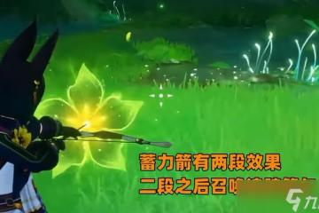 原神3.0版本五星角色提納里值得抽嗎 3.0新增常駐五星提納里攻略大全