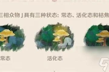 原神三相眾物意思一覽
