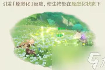 原神激化反應是什麼